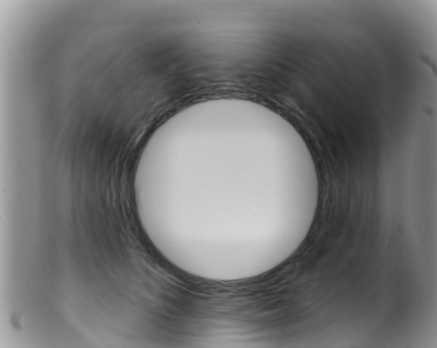 X0000099540516200805160752