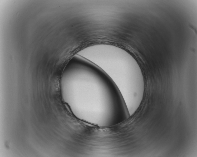 X0000099540517200805160752