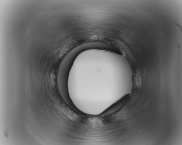 X0000099540520200805160751
