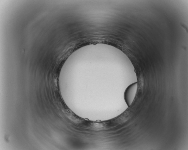 X0000099540522200805160751