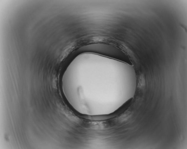 X0000099540524200805160751