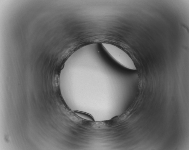 X0000099540525200805160751