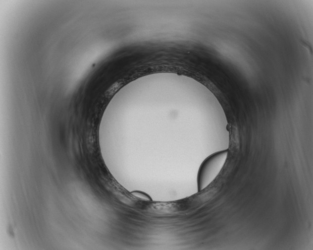 X0000099540526200805160751