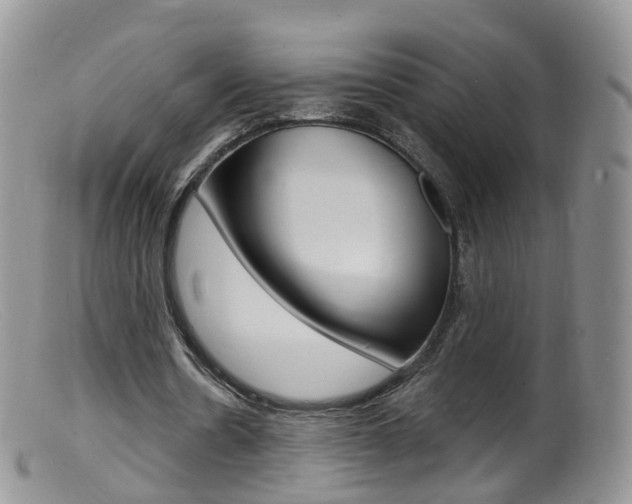 X0000099540530200805160751