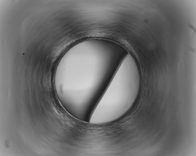 X0000099540531200805160751