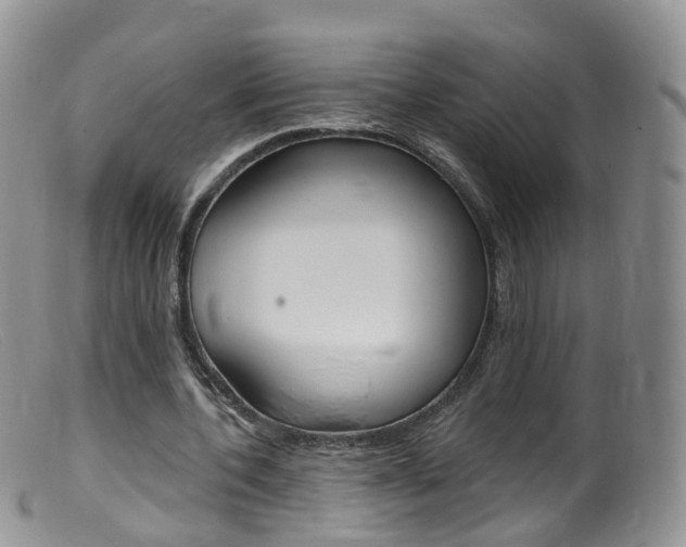 X0000099540532200805160751