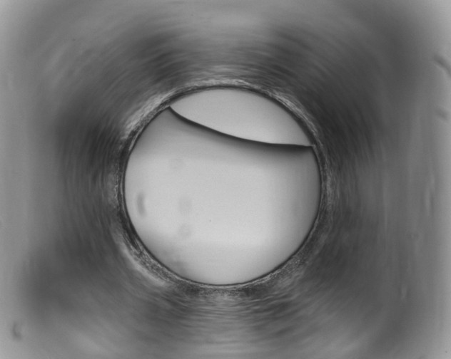 X0000099540533200805160751
