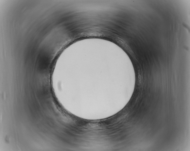 X0000099540534200805160751