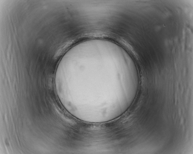 X0000099540537200805160751