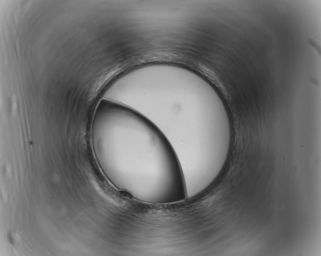 X0000099540538200805160751
