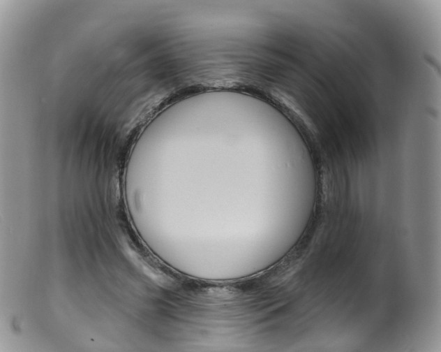 X0000099540541200805160751