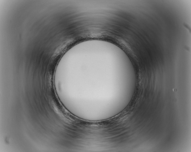 X0000099540542200805160751