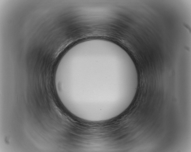 X0000099540544200805160751