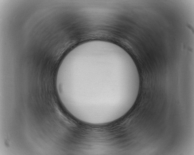 X0000099540546200805160751