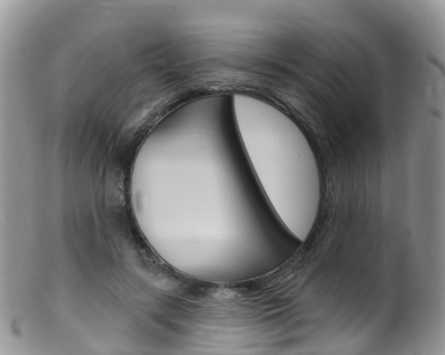 X0000099540547200805160751