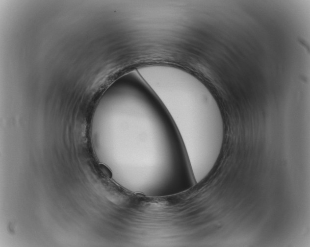 X0000099540548200805160751