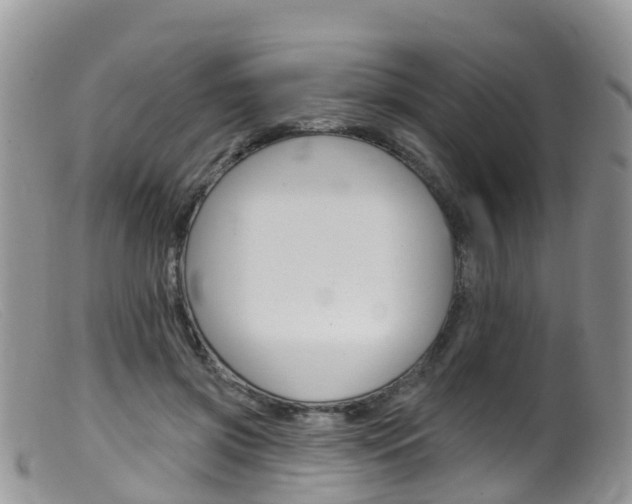 X0000099540549200805160751