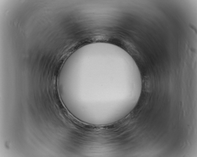 X0000099540550200805160751