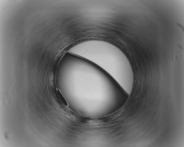 X0000099540556200805160751