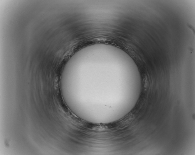 X0000099540559200805160751