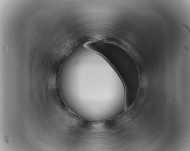 X0000099540560200805160751