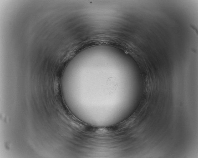 X0000099540562200805160751