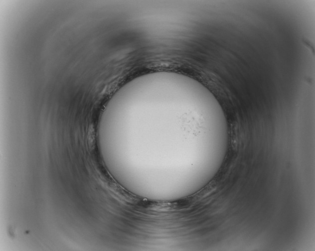 X0000099540563200805160751
