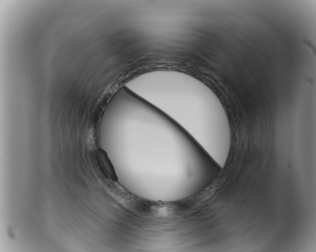 X0000099540564200805160751