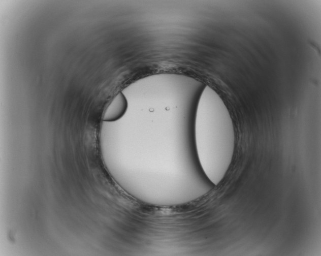 X0000099540565200805160751