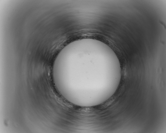 X0000099540567200805160751