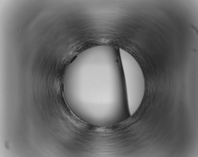 X0000099540568200805160751