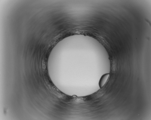 X0000099540569200805160751