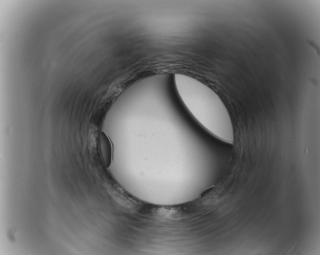 X0000099540570200805160751