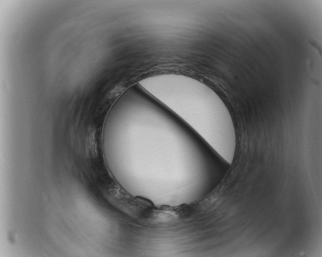 X0000099540572200805160751