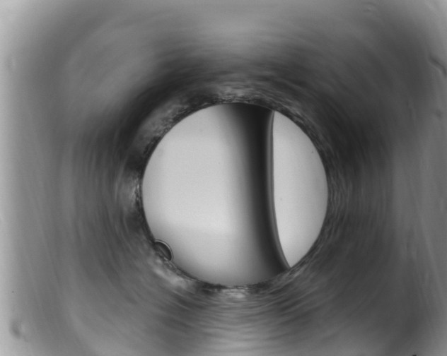 X0000099540574200805160751