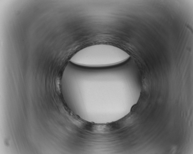 X0000099540575200805160751