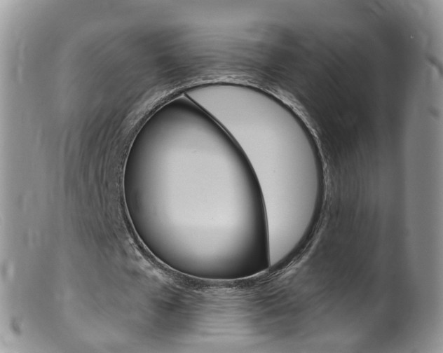 X0000099540577200805160751