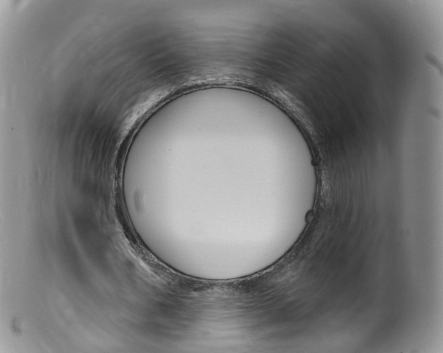X0000099540578200805160751