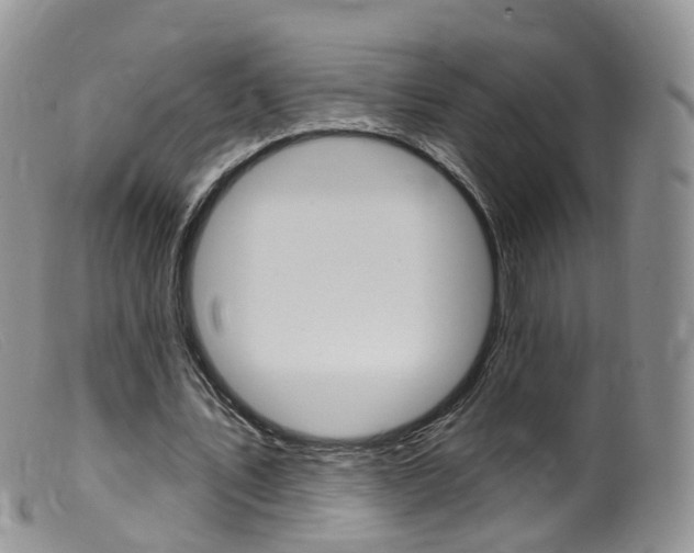 X0000099540579200805160751