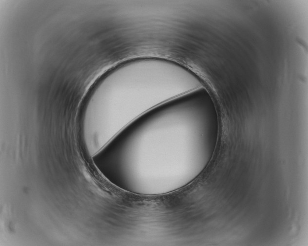 X0000099540580200805160751
