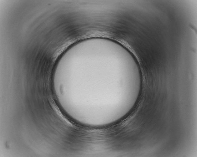 X0000099540581200805160751