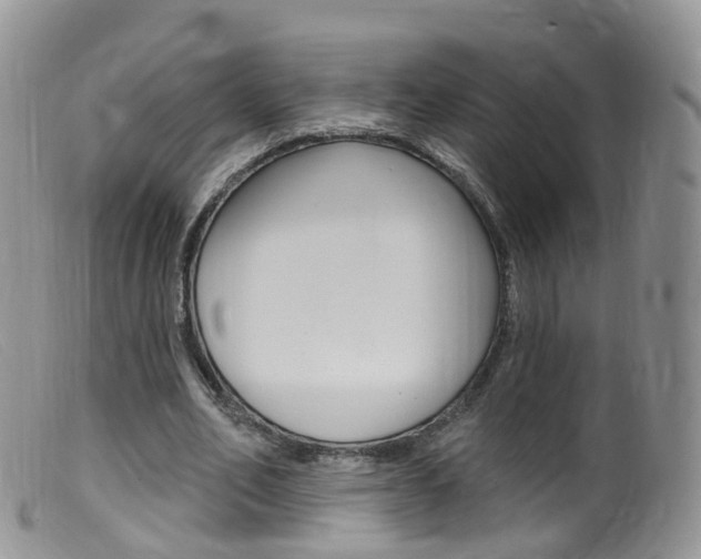 X0000099540582200805160751