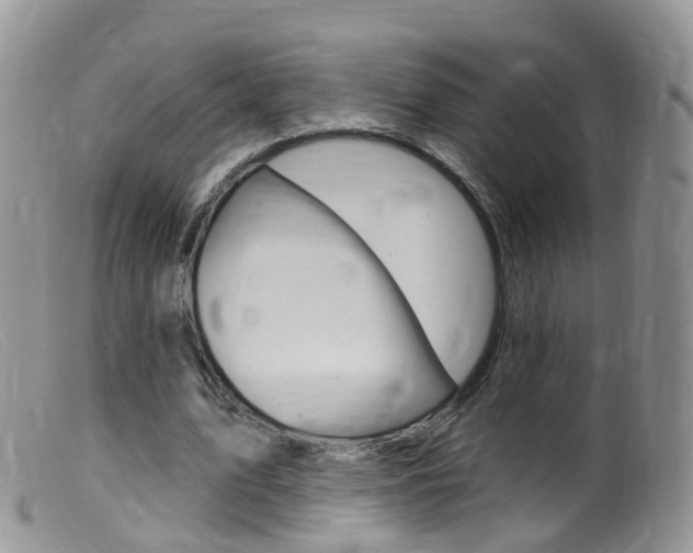 X0000099540583200805160751