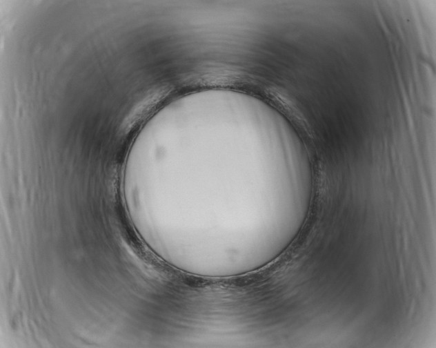 X0000099540586200805160751