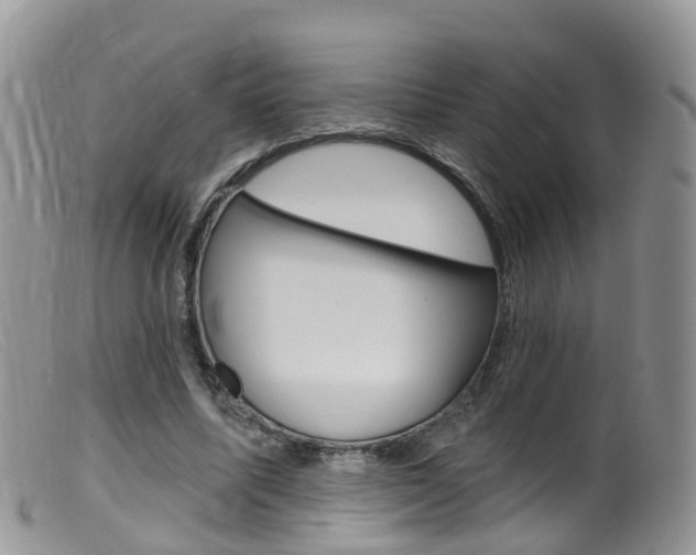 X0000099540587200805160751