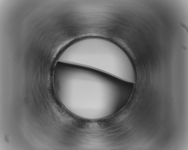 X0000099540588200805160751
