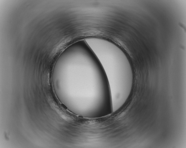 X0000099540589200805160751
