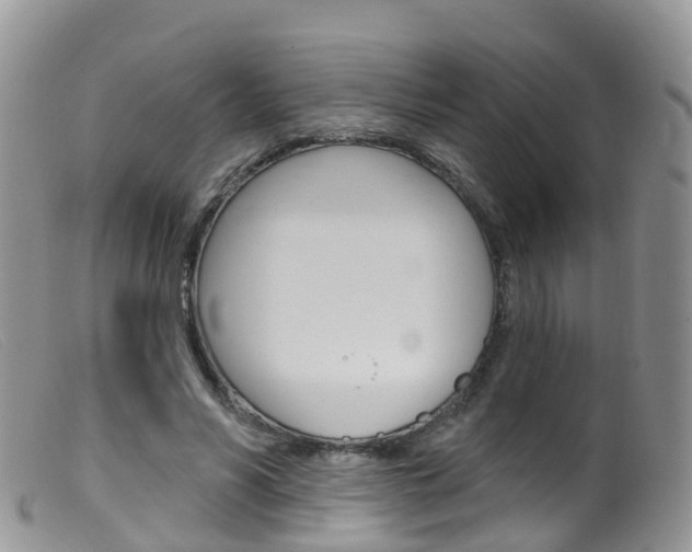 X0000099540590200805160751