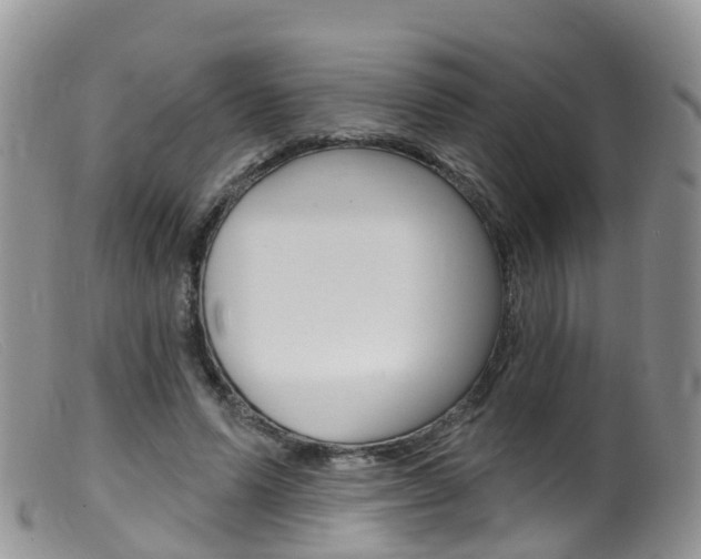 X0000099540591200805160750