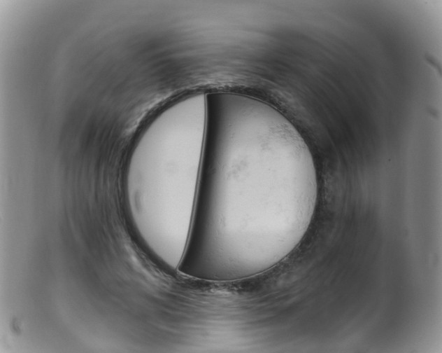 X0000099540592200805160750